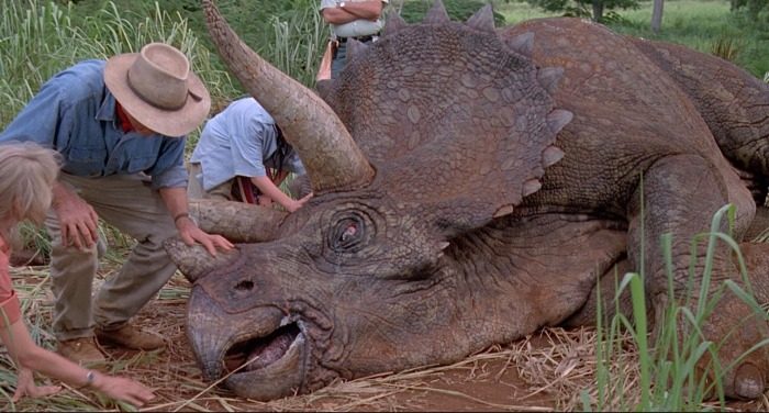 Triceratops