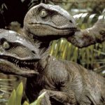 Velociraptor