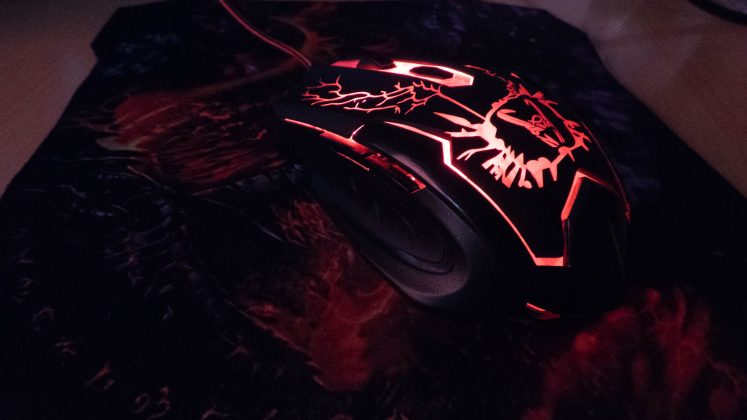 Stinger FX 80 MEGAKIT - Raton 01