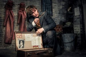 Animales fantásticos y dónde econtrarlos: Los Crímenes de Grindelwald - Newt Scamander
