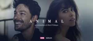 Animal