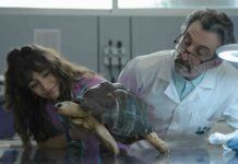 Animal: la exitosa serie de Netflix desvela su fecha de estreno